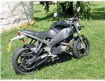 buell 08