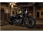 H-D Iron 833_1